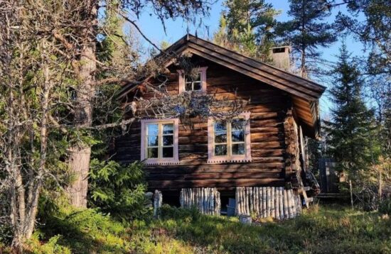 Cozy guest house in the forest near Sigulda surrounded by pine trees and nature