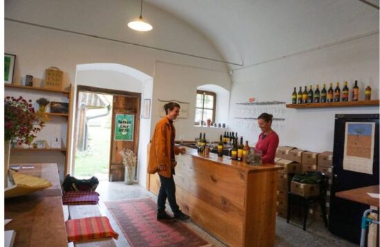 Local winery in Sigulda countryside surrounded by vineyards and nature in Gauja National Park
