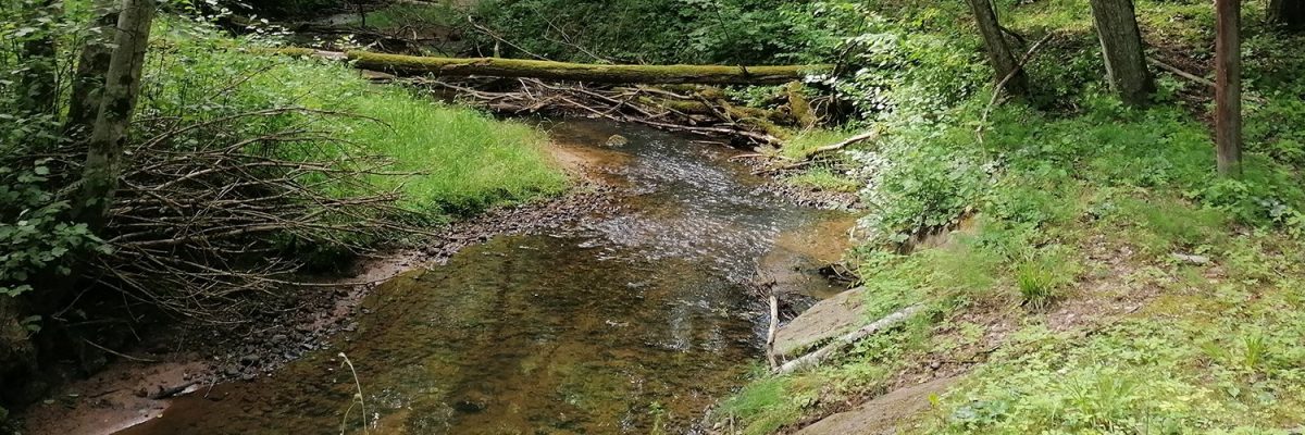 hikin-sigulda-ligatne-1 hikin-sigulda-ligatne-1
