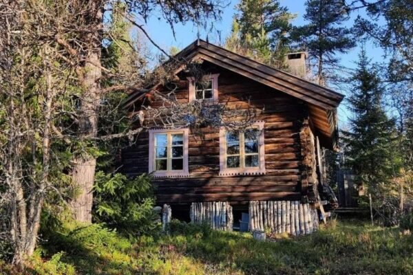 Sigulda guest house in forest