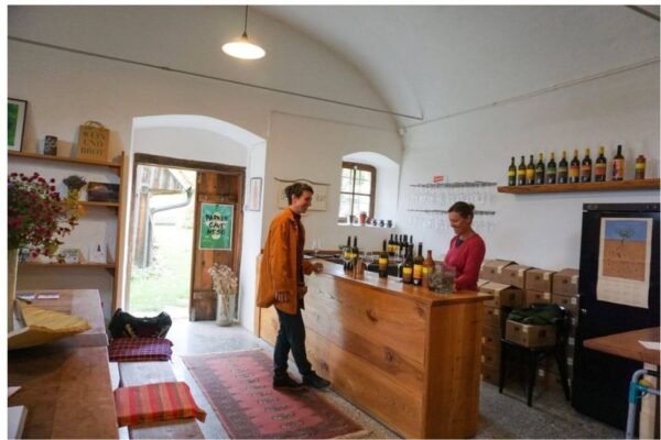 Sigulda winery tours